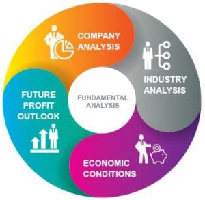 how to do company's fundamental analysis?