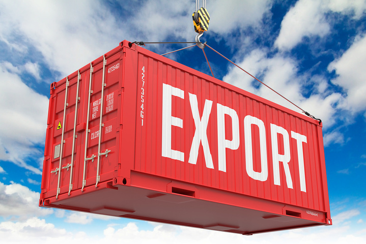 top 5 products export from india 2024